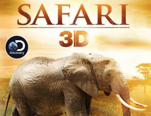 3D SAFARI: AFRICA