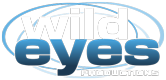 Wild Eyes Productions Logo